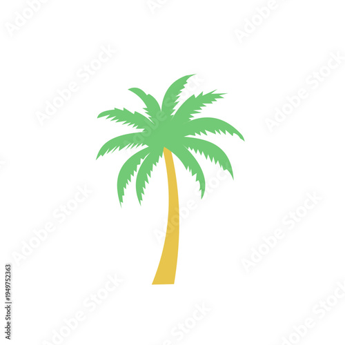 Palm tree illustration