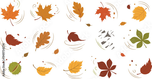 Autumn falling leaves illustration set with maple oak chestnut birch colorful fall foliage seasonal collection