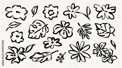 Black ink floral and leaf patterns on white background. Bold floral designs, artistic leaf motifs, and expressive ink strokes create a dynamic botanical theme. Hand drawn botanical vector set.