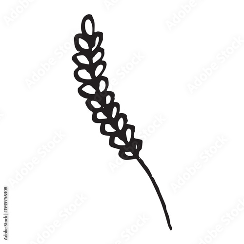 Hand drawn cereal wheat oat rye barley rice ears spikelet clipart Organic wheat bread agriculture farming harvest healthy food Single element for print packaging label design decor