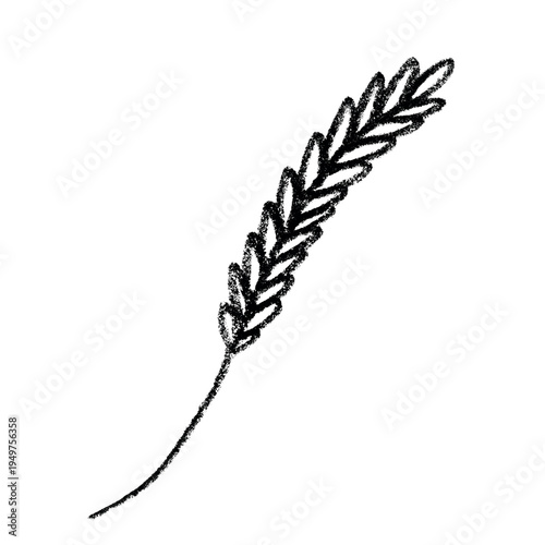 Hand drawn cereal wheat oat rye barley rice ears spikelet clipart Organic wheat bread agriculture farming harvest healthy food Single element for print packaging label design decor