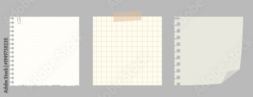 Torn paper frame design vector element