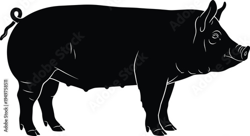 pig silhouette illustration, farm pig animal vector isolated, domestic livestock hog side view agriculture farming animal graphic