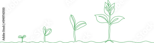 Plant growth stages line illustration with green seedlings