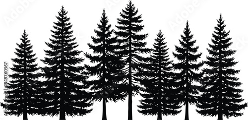 pine tree forest silhouette set, evergreen spruce trees nature landscape collection, black conifer woodland vector isolated illustration
