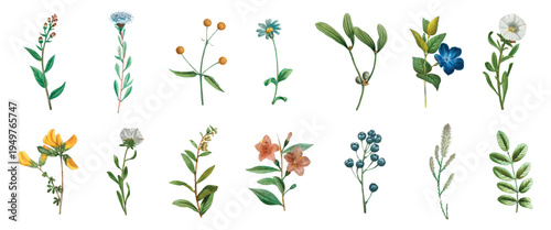Collection of watercolor flowers, featuring various colorful blooms and green leaves. Each flower is uniquely painted, showcasing diverse floral designs. Botanical elements, vector set.