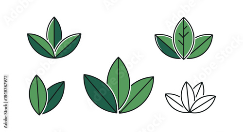 Bay Leaf Line art vector set soft abstract color design