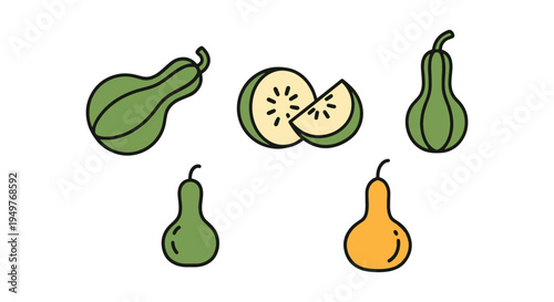 Ash Gourd Line art vector set dynamic modern artistic abstract illustration