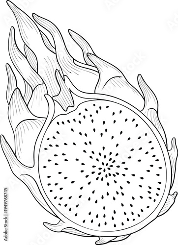 Vector dragon fruit on fire illustration