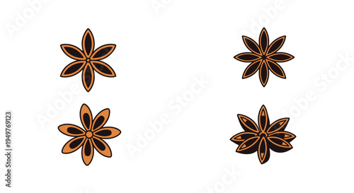 Anise Line art vector set clean artistic abstract illustration