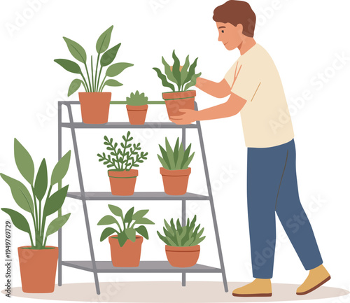 Man arranging potted plants on a metal plant stand indoors