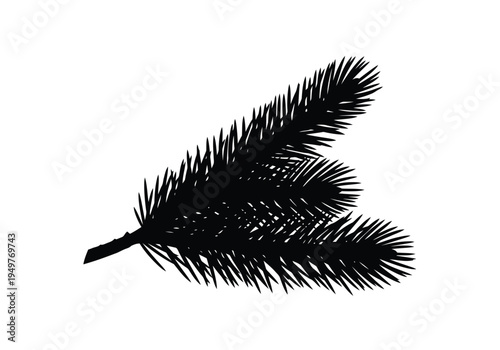 Black silhouette of spruce branch with needles on white background for christmas decoration