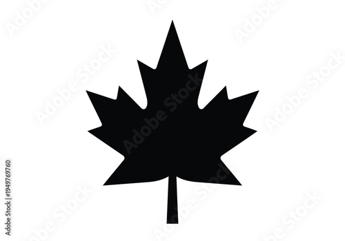 Black silhouette of maple leaf on white background as autumn or canadian symbol
