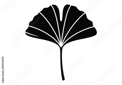 Ginkgo biloba leaf silhouette vector illustration isolated on white background symbol art