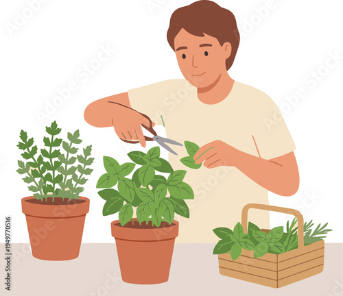 A person prunes plants with scissors on a table indoors carefully