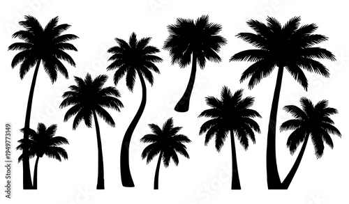 Palm tree silhouettes tropical nature vector set