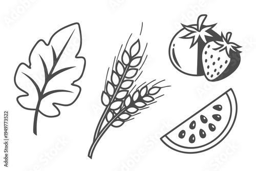 Black and white of leaves and fruits on white background watermelon strawberry wheat