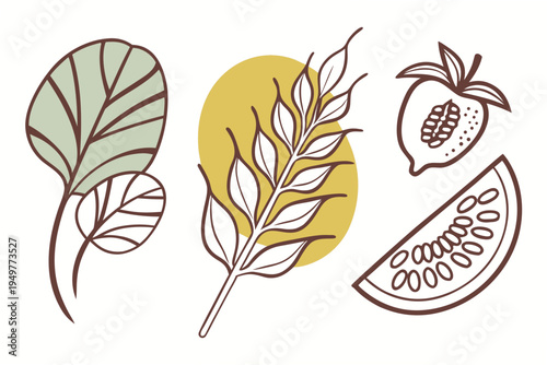 Colorful of leaves and fruits on white background watermelon strawberry wheat