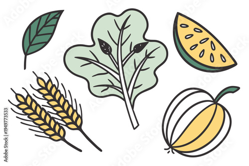 Colorful of vegetables and fruits on white background watermelon melon wheat