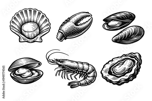 Vintage Engraving Style Seafood Collection Featuring Scallop, Lobster Claw, Mussels, Clam, Shrimp, and Oyster. Hand-Drawn Black and White Woodcut Vector Illustrations for Restaurant Menu Design.
