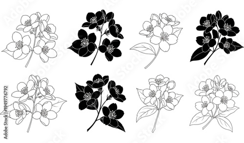 A set of eight black and white flower illustrations in various line art styles