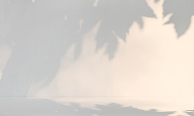 Minimalist white room with soft tree leaf shadows on textured wall. A serene, aesthetic background with natural sunlight, perfect for product mockups and interior design displays