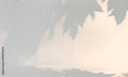 Minimalist white room with soft tree leaf shadows on textured wall. A serene, aesthetic background with natural sunlight, perfect for product mockups and interior design displays