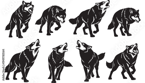 A group of wolves are howling loudly together in a wild natural forest habitat.