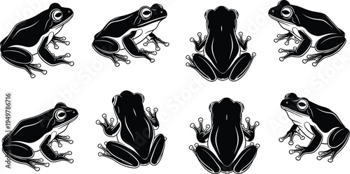 Frog silhouette vector set, black and white toad illustrations, tropical amphibian icons, exotic pond wildlife, jumping tree frog collection, nature design,