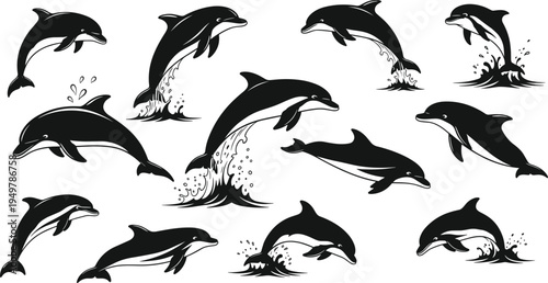 Dolphin silhouette jumping swimming set jumping from ocean water splashes sea life marine animal vector illustration collection for aquatic nature design