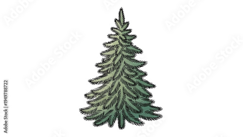 A detailed illustration of a green pine tree standing alone in a landscape