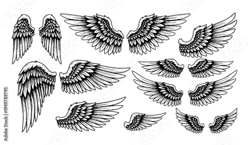 Hand drawn angel wings sketch set vintage engraving wing vector