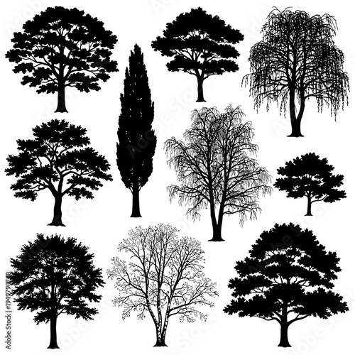 Collection of various tree silhouettes and illustrations.