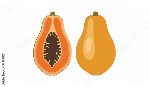 Top view papaya fruit cut in half vector design isolated on white background