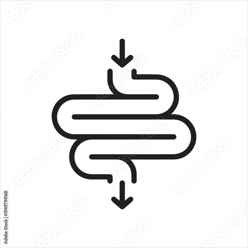 Intestine, linear icon. Digestive flow and intestinal function. Line with editable stroke.