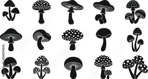 Mushroom Silhouette Vector Set Featuring Various Fungi Species Toadstools and Forest Plants for Nature Autumn Botanical Design Garden and Organic Concept