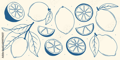 Whimsical hand drawn lemon element set with citrus fruit, slices and leaves. Cute Mediterranean style doodle illustrations perfect for packaging, menu design, kitchen decor and summer graphics.