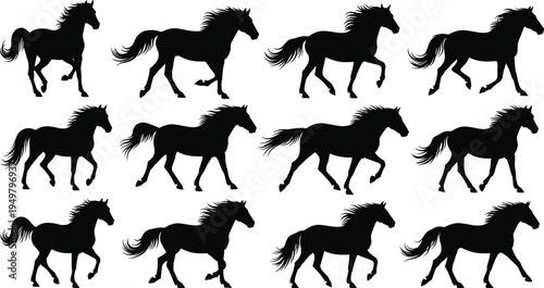 Black horse silhouettes running in motion sequence, twelve variations showing dynamic equestrian movement pattern grid design for animation 