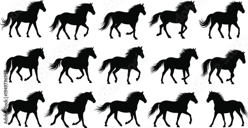 Black horse silhouettes walking and trotting sequence, three rows showing equestrian biomechanics, motion study frames and dynamic animal movement design