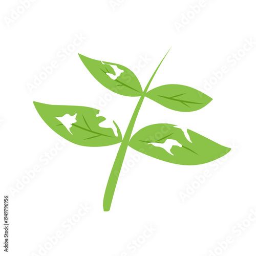 illustration of a leaf with holes eaten by insects