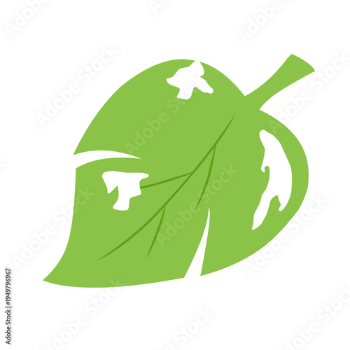 illustration of a leaf with holes eaten by insects