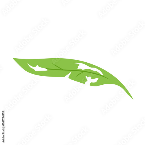 illustration of a leaf with holes eaten by insects
