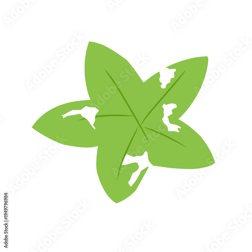 illustration of a leaf with holes eaten by insects
