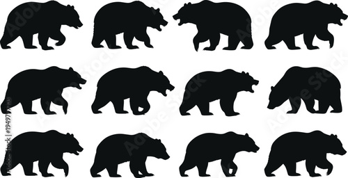 Black bear silhouettes in motion sequence, twelve variations showing wildlife behavior, walking, standing, growling poses and dynamic animal design