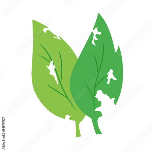 illustration of a leaf with holes eaten by insects