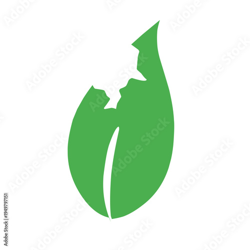 illustration of a leaf with holes eaten by insects