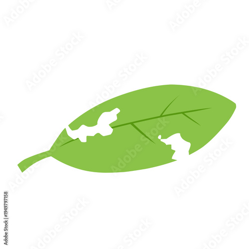 illustration of a leaf with holes eaten by insects