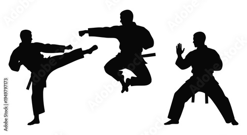 Three martial artists demonstrate dynamic poses showcasing strength and discipline in black silhouette high quality professional