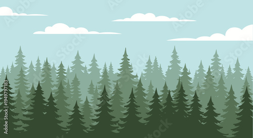 Evergreen forest landscape, pine trees in layers, blue sky with clouds