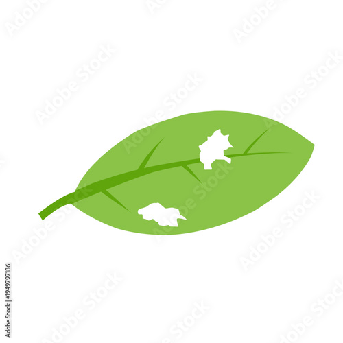 illustration of a leaf with holes eaten by insects